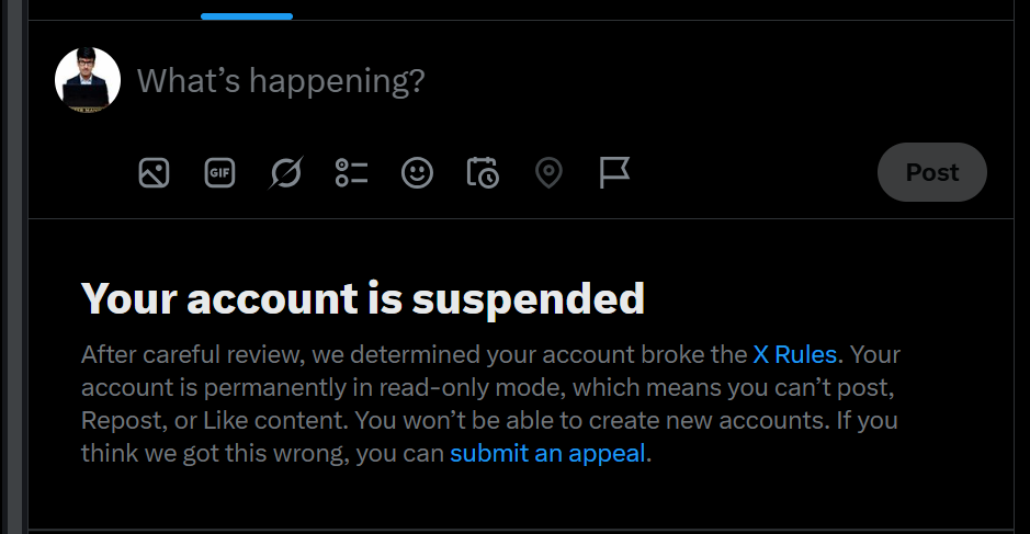 X Account Suspended Screen 3 - Permanently in read-only mode